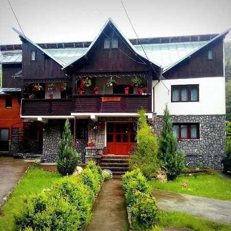 Vila Vanturis Hotel Sinaia Zewnętrze zdjęcie