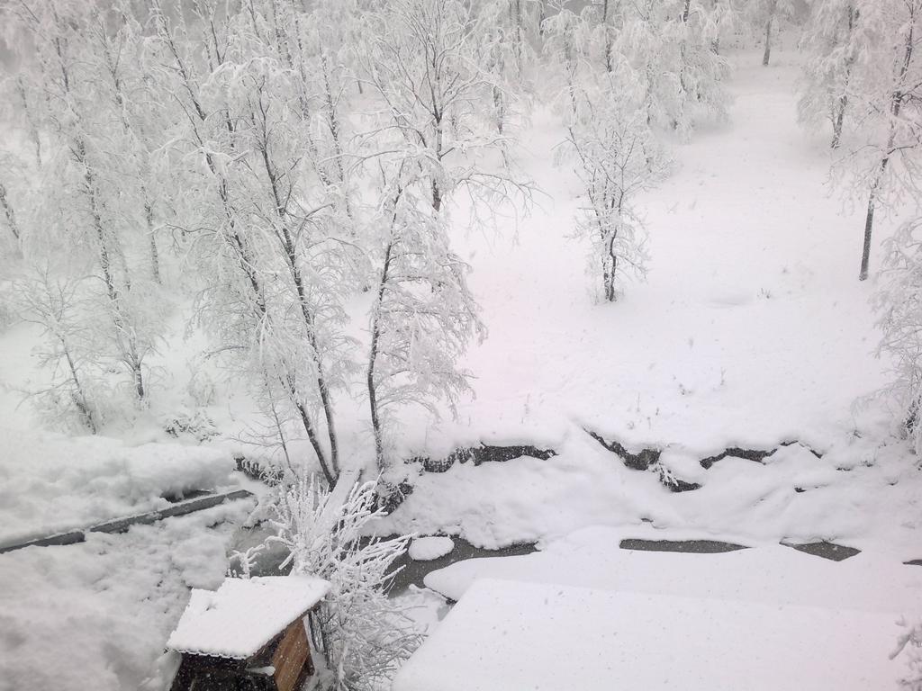 Vila Vanturis Hotel Sinaia Zewnętrze zdjęcie
