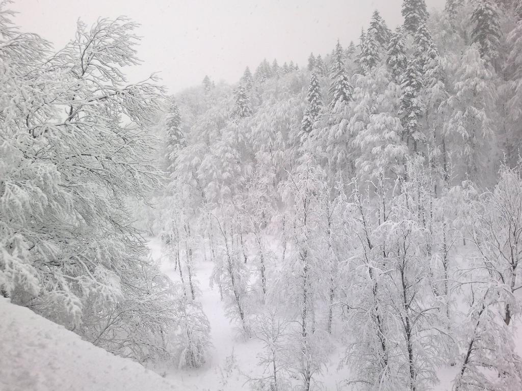 Vila Vanturis Hotel Sinaia Zewnętrze zdjęcie
