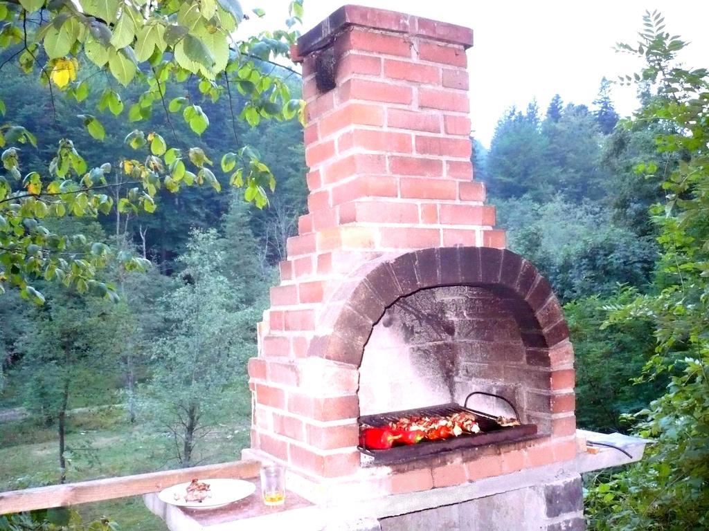 Vila Vanturis Hotel Sinaia Zewnętrze zdjęcie