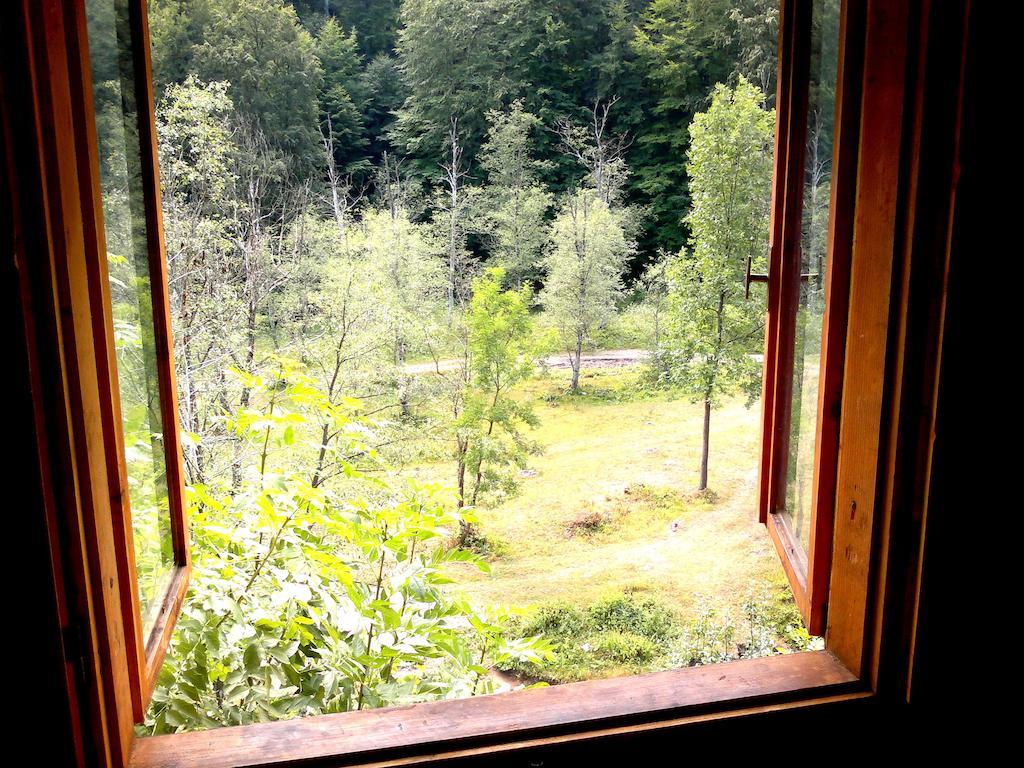 Vila Vanturis Hotel Sinaia Zewnętrze zdjęcie